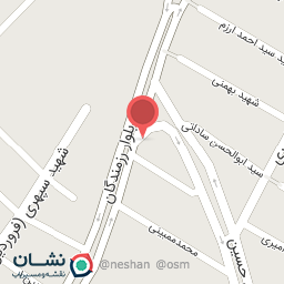 عکس برگر رایان