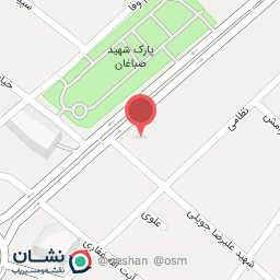 عکس فروشگاه جنرال تسمه