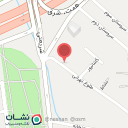 عکس فست فود بریسکت