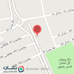 عکس پیتزا ژوو