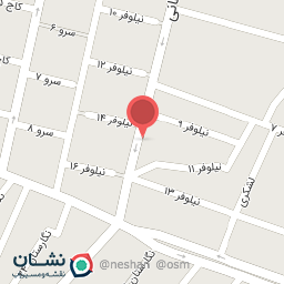 عکس پیرایش تک چهره 