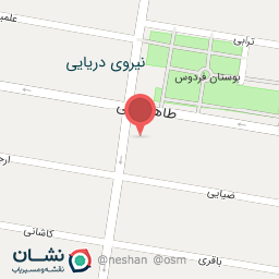 عکس عکاسی زیتون