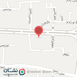 عکس دکتر امیرپویا تنهایی