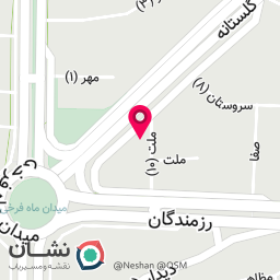 عکس پیتزا هیزمی کژال