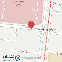 عکس دکتر فرشته فارغی نایینی