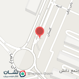 عکس مکانیکی و جلوبندی سازی امین