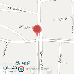 عکس نیما برگر