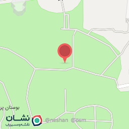 عکس بوفه پاتوق