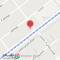 عکس کفش بزرگمهر 