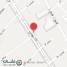 عکس قصر خرمای مینایی