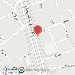 عکس دکتر صدیقه شفیعی