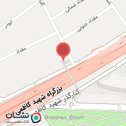 عکس مرغ بریان پنجه طلا