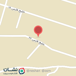 عکس کفش پاپا