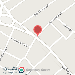 عکس اتو سرویس پارسیان 