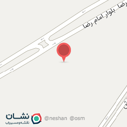 عکس ترمزی زانتیا میثم