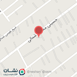 عکس کیف زهانی