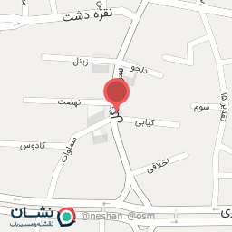 عکس تریکو و خرازی راشا