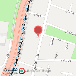 عکس یاشار قلیچی