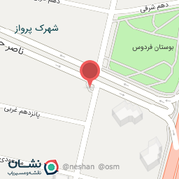 عکس پیتزا 2002