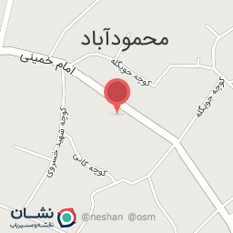 عکس گل فروشی نگین