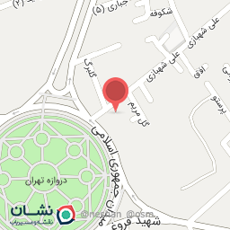 عکس دکتر زینت ضیائی