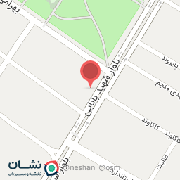 عکس لوازم آرایشی بردیا