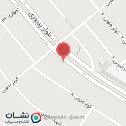 عکس خودپرداز انصار