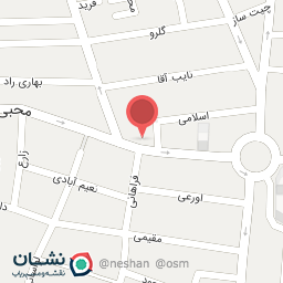 عکس نقشان گرافیک