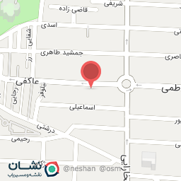 عکس الکتریکی امین