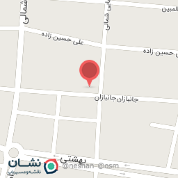 عکس نقره بدلیجات شاپوری