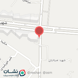 عکس خشکبار امیر