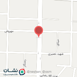 عکس عسل بانو