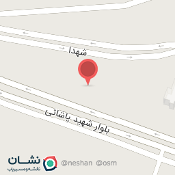 عکس کارواش دلفین