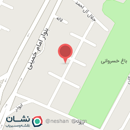 عکس مکانیکی و باطریسازی پیام و بهادر