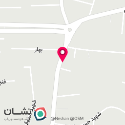 عکس لبنیات محلی نخلستان