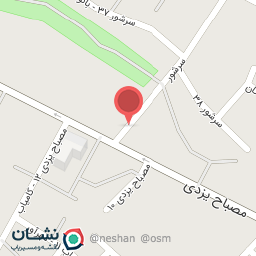 عکس در ورودی زنانه مسجد امام حسن مجتبی(ع)