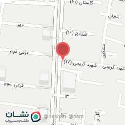 عکس باطریسازی دیاگ انژکتور بخاری