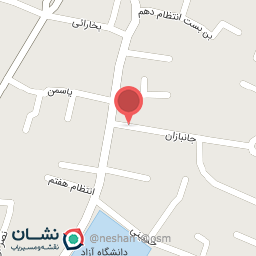 عکس پیتزا نیلی