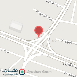 عکس پیتزا مهاجر