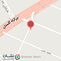 عکس خشکشویی و پتوشویی گلستان