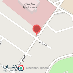 عکس کیف و کفش شیک پا