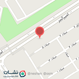 عکس فست فود سورنا