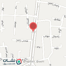 عکس آبمیوه ننه آقا 