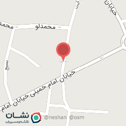 عکس پیتزا و ساندویچ تک