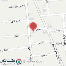 عکس دیزانیر