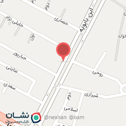 عکس دزدگیر۱۱0