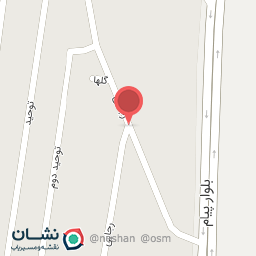 عکس تهیه غذا زعفران