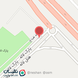 عکس غذا خوری سعید 