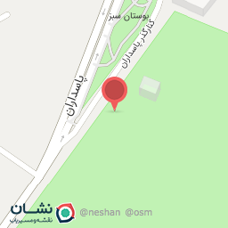 عکس محصولات ترشین