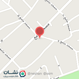 عکس تهیه غذا احمدی 